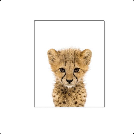 Jungle / safari baby cheeta - Dieren