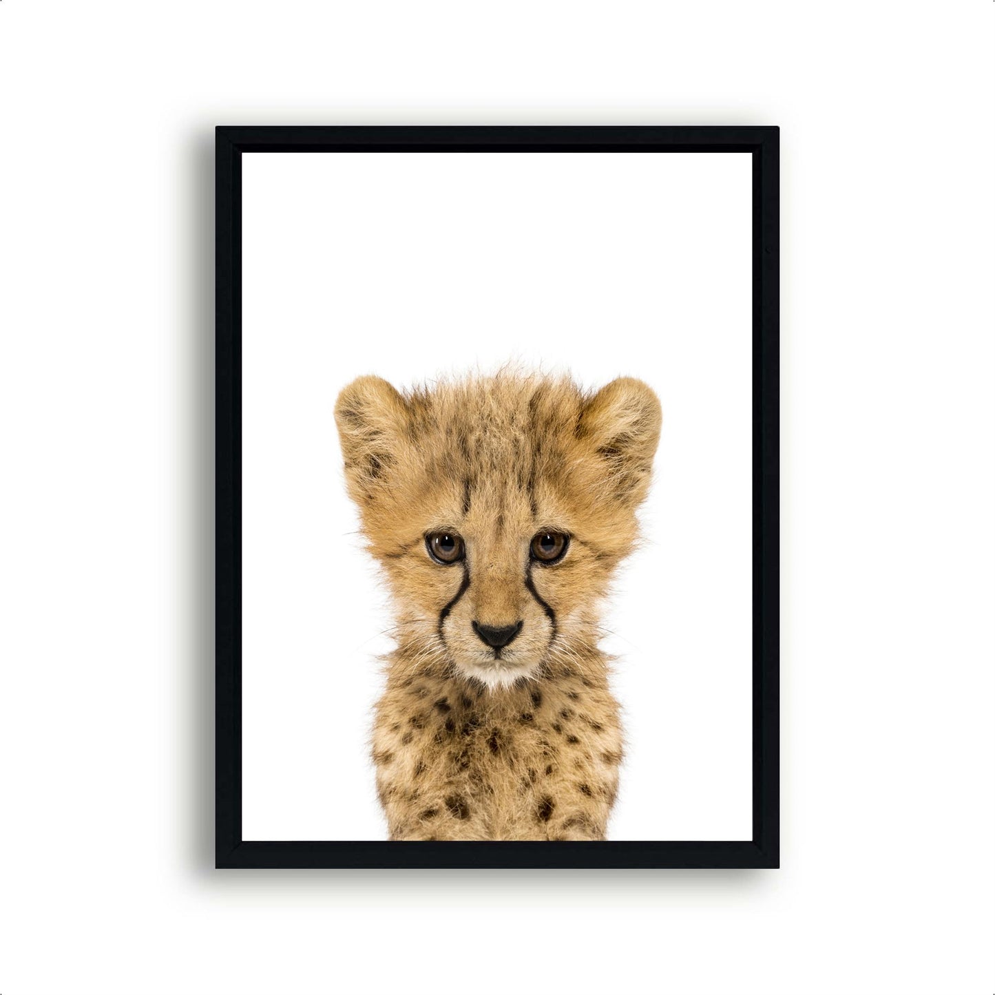 Jungle / safari baby cheeta - Dieren