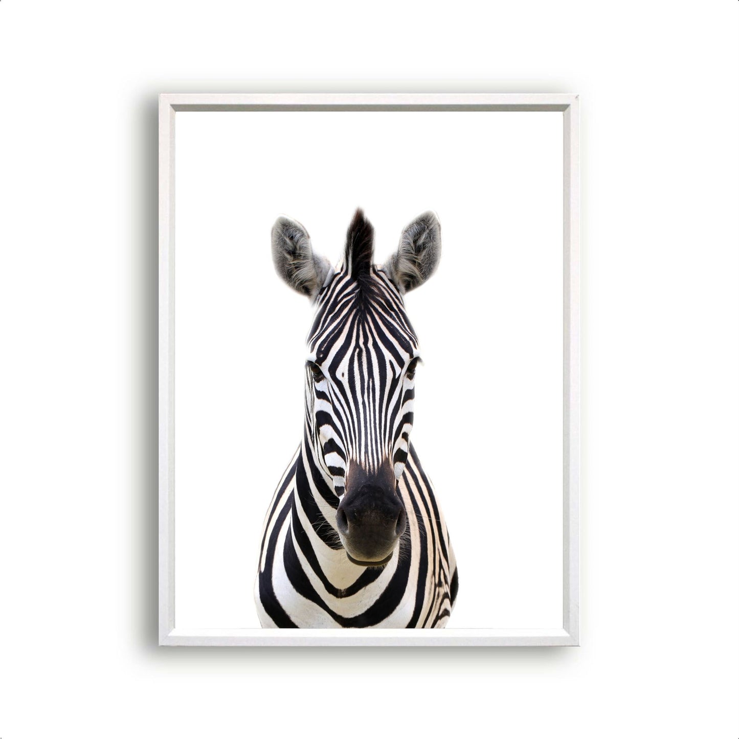 Jungle / safari grote zebra - Dieren